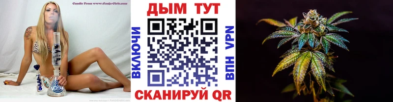 магазин    Таруса  Бошки марихуана сатива 